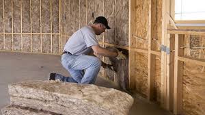 Best Basement Insulation  in Orida Ridge, FL